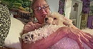 Elly joined the competition — help win amazing prizes! woman, person, dog, dogs, puppy, small_dog, fluffy, curly_hair, white_dog, pet, cuddling, holding, sitting, sofa, cushion, leopard_print, indoor, home, plants, portrait