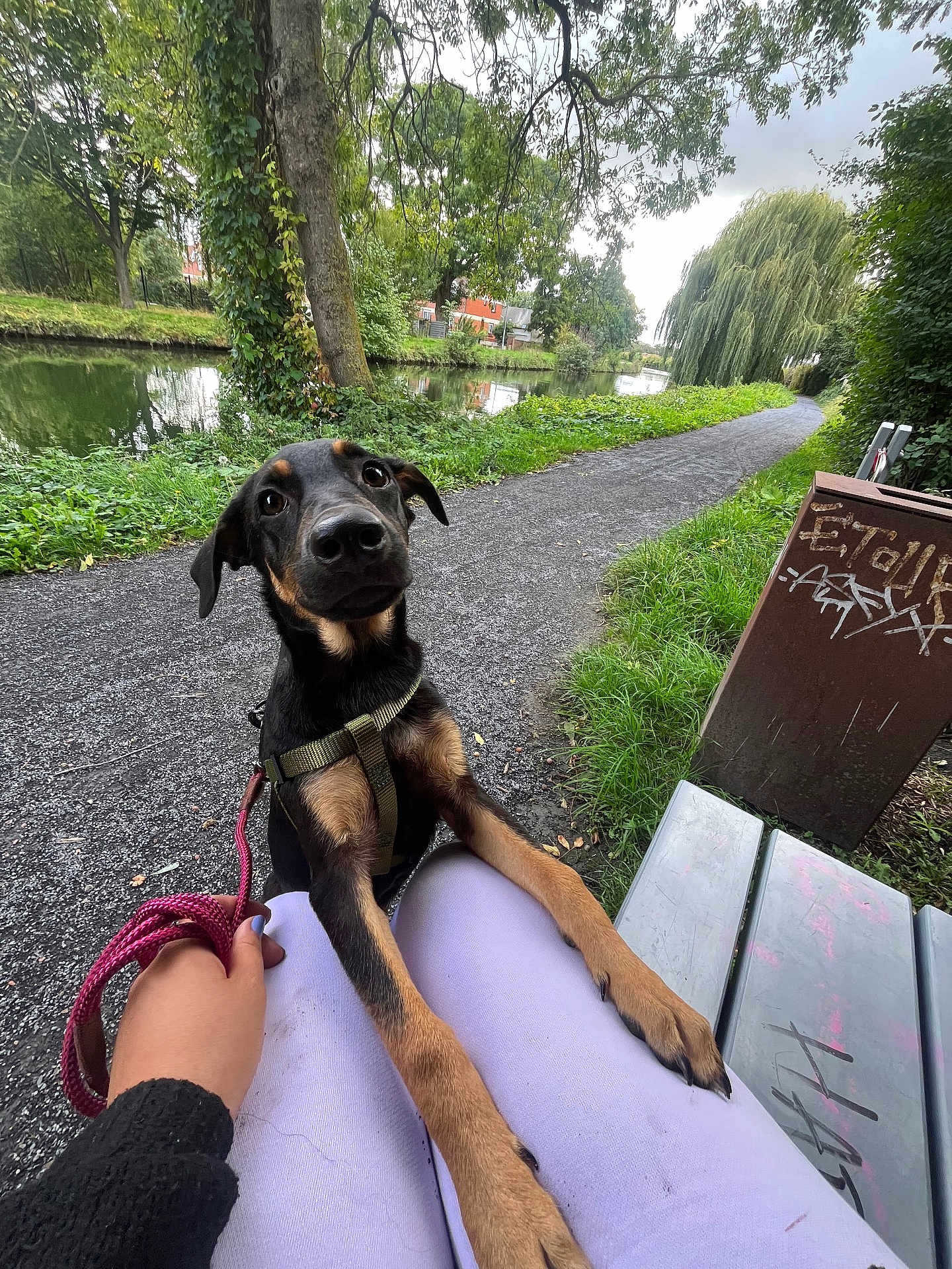 Alexsa