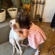 Layla is registered to the contest to win money with this photo: toddler, dog, hug, indoor, pink_dress, white_dog, brown_dog, rug, plant, pot, fireplace_tools, tile_floor, child, affection, cute, pet, love, home, shoes, hair