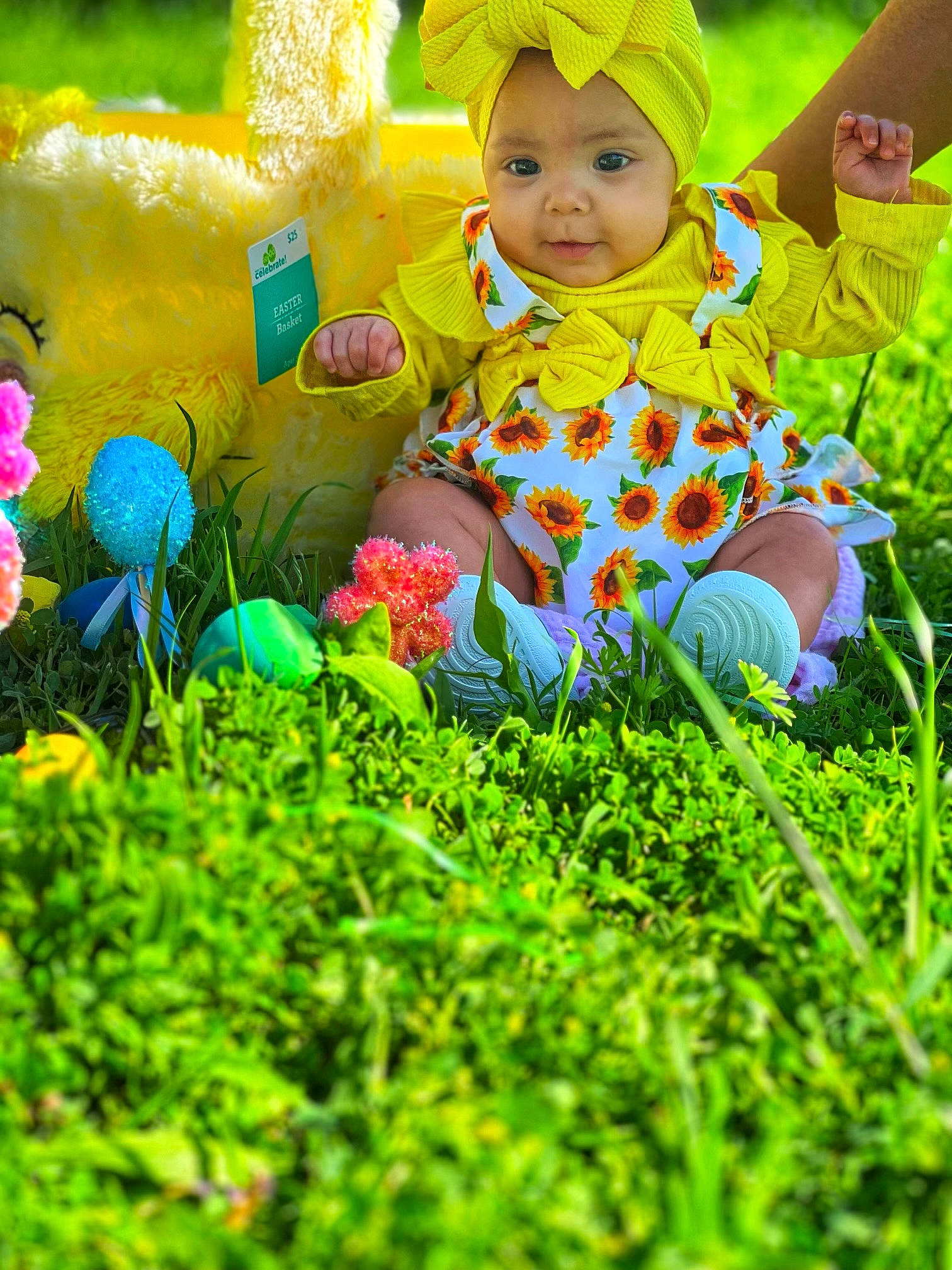Kailani is registered to the contest to win money with this photo: baby, baby_toddler_clothing, beauty, child, facial_expression, fun, grass, grassland, groundcover, happy, headwear, lawn, leisure, meadow, natural_landscape, people_in_nature, person, plant, playing_with_kids, sunlight