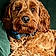 Charlie