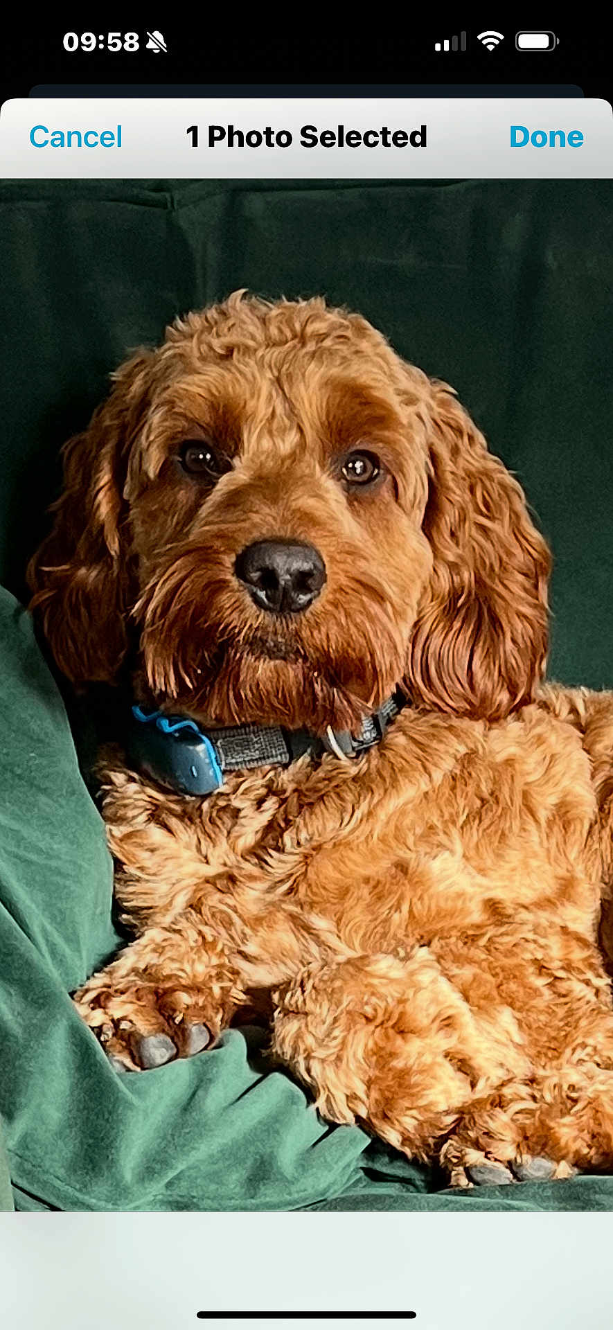 Charlie