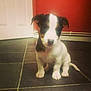 Molly is registered to the contest to win money with this photo:
