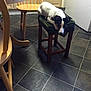 Molly is registered to the contest to win money with this photo: