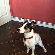Molly is registered to the contest to win money with this photo: