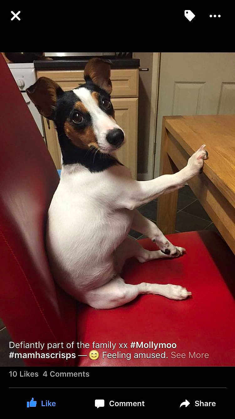 Molly