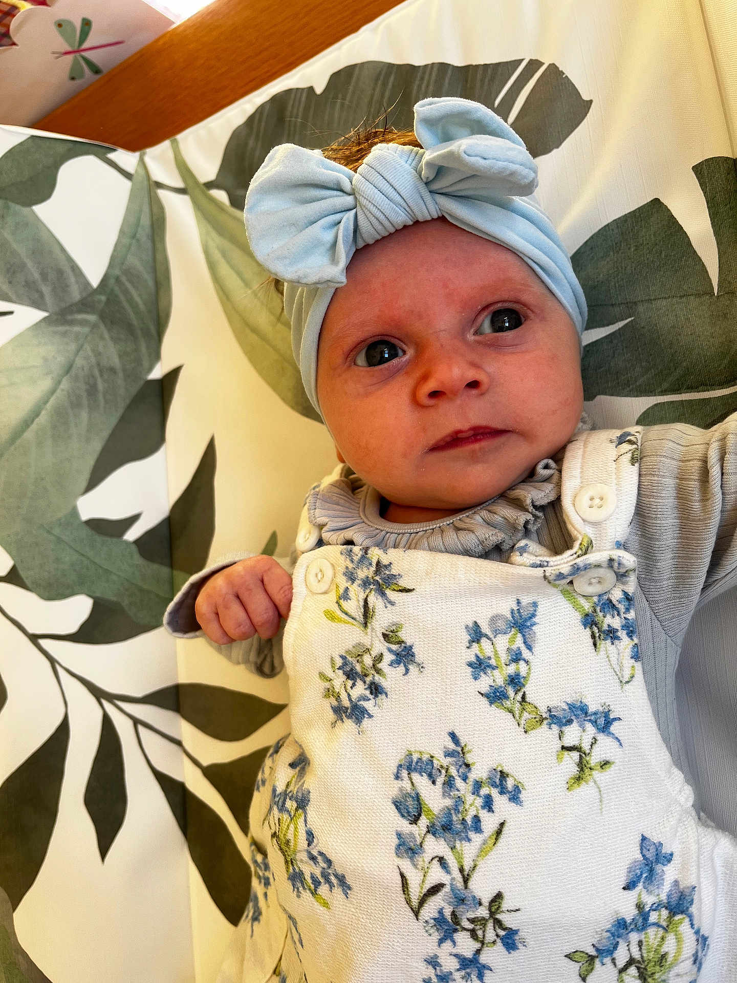 Ottilie joined the competition — help win amazing prizes! baby, infant, headband, bow, clothing, floral_pattern, cushion, leaf_pattern, fabric, person, portrait, cute, newborn, child, indoors, soft_lighting, expression, small_hand, closeup, resting
