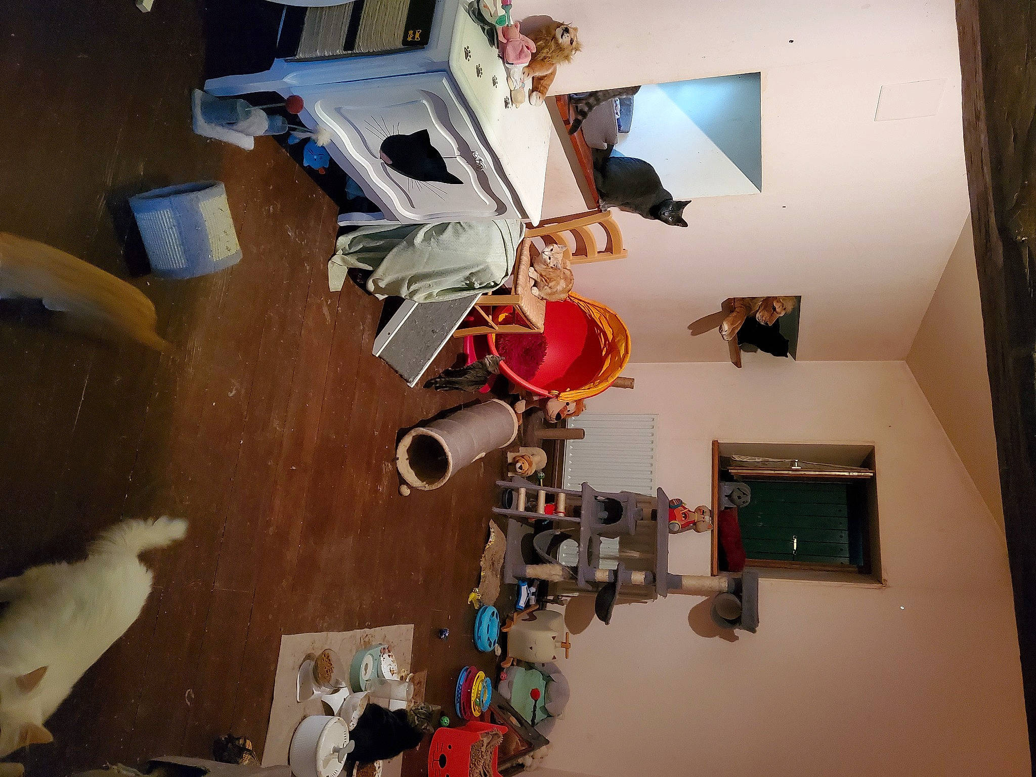 Lola a rejoint le concours — aidez-le/la à gagner de superbes lots ! architecture, art, building, carmine, ceiling, chair, desk, floor, flooring, house, interior_design, machine, material_property, picture_frame, room, shelving, space, table, visual_arts, wood