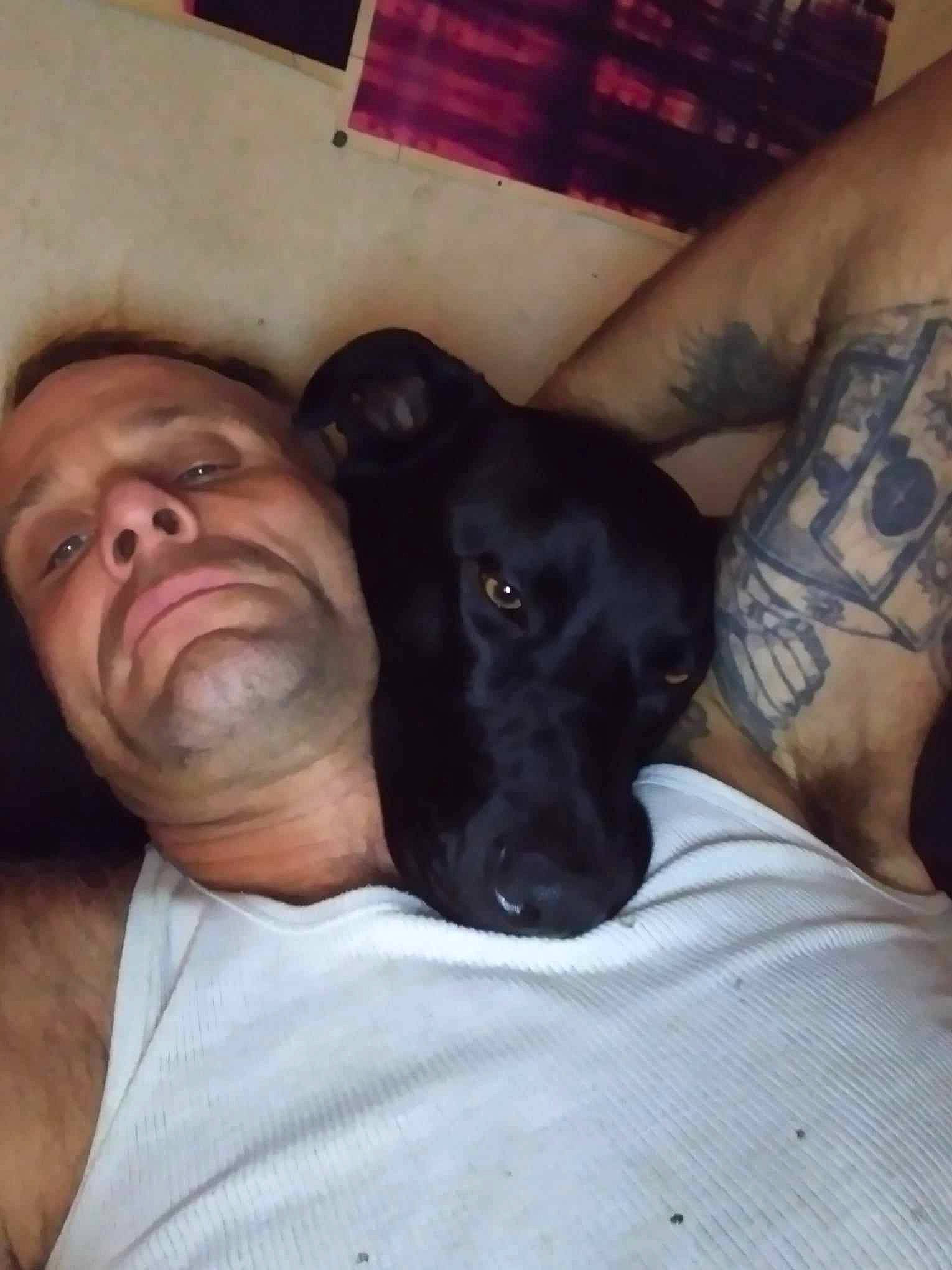 Smokey joined the competition — help win amazing prizes! carnivore, cloud, comfort, companion_dog, cool, couch, dog, dog_breed, elbow, fawn, flesh, fur, gesture, human_leg, muscle, snout, t_shirt, temporary_tattoo, thigh, working_animal