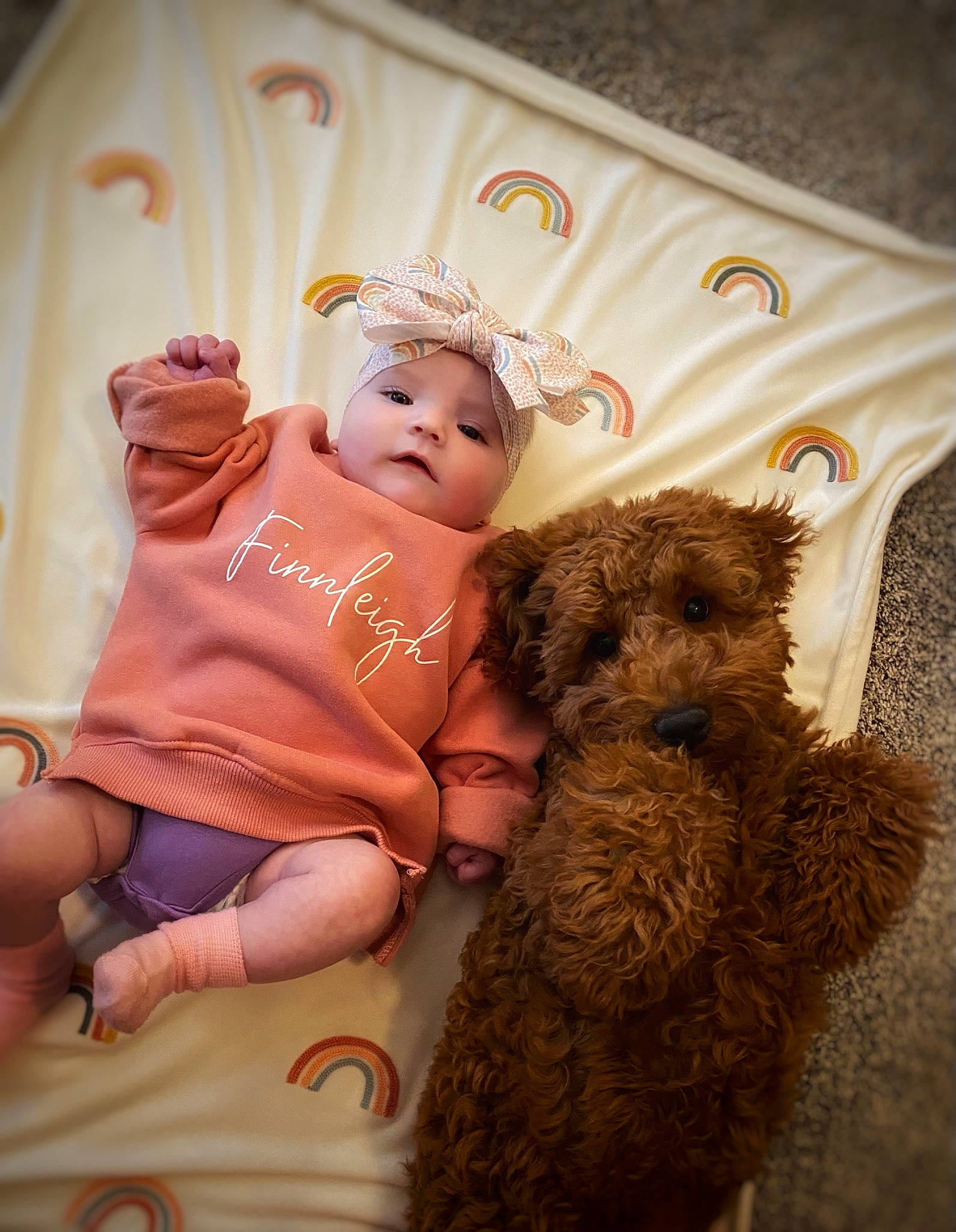 Huckleberry joined the competition — help win amazing prizes! baby, baby_toddler_clothing, child, companion_dog, fawn, fur, happy, hat, pattern, peach, photo_caption, pink, plush, room, skin, stuffed_toy, teddy_bear, toddler, toy, toy_dog