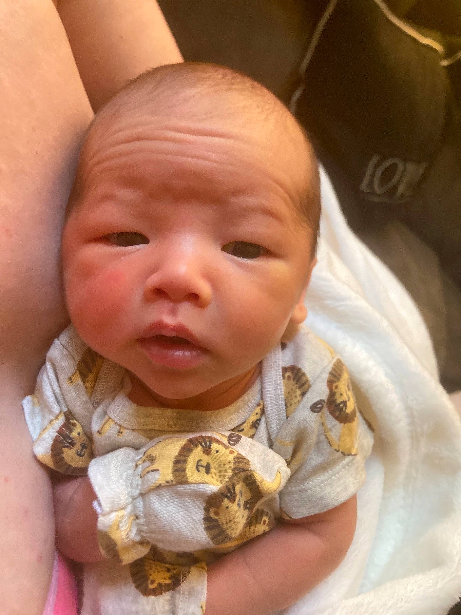 Kaysen is registered to the contest to win money with this photo: baby, baby_toddler_clothing, cheek, comfort, dress, ear, eye, eyebrow, eyelash, hair, head, human_body, iris, lip, mouth, neck, nose, person, skin, sleeve