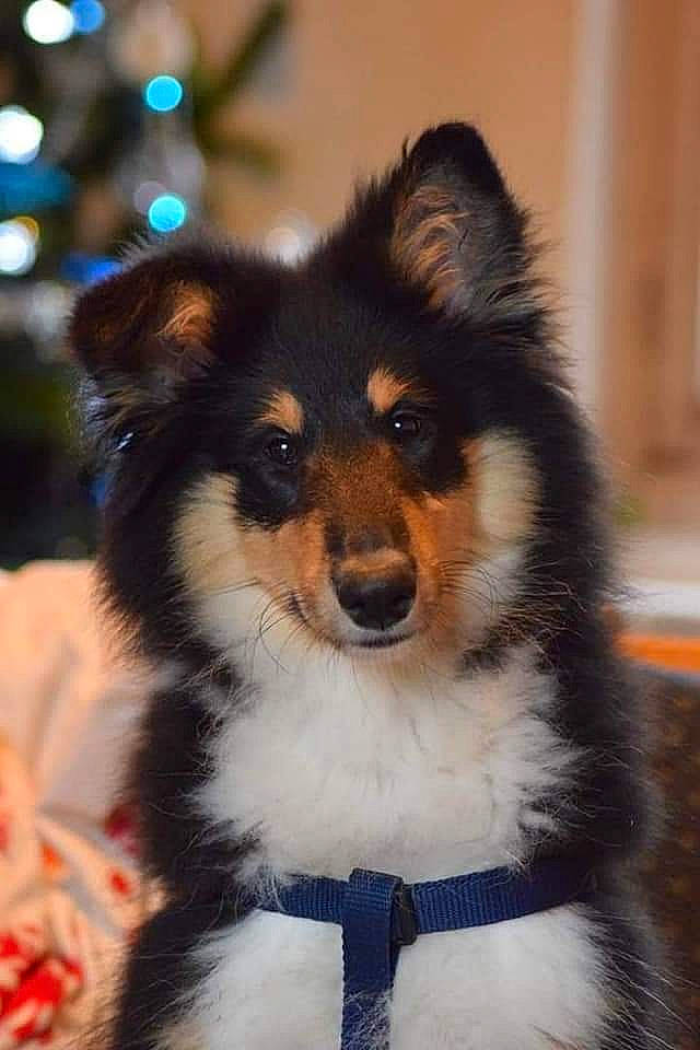 Leeloo