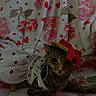 cat, tabby_cat, hat, bow, clothing, dress, strawberry_pattern, blanket, hearts, love, cute, pet, animal, indoor, cozy, relaxed, portrait, feline, fashion, accessory