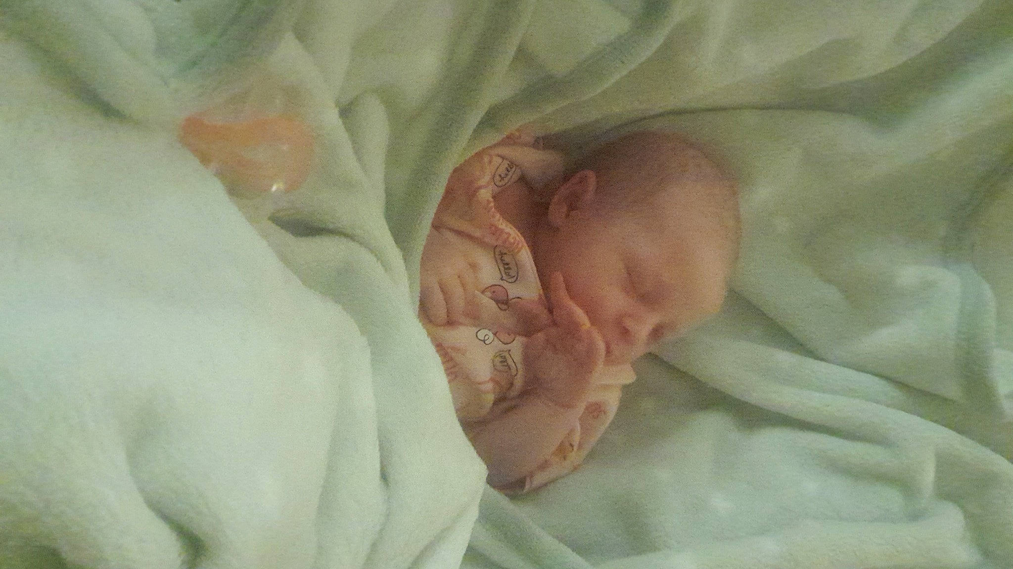 Pazlee joined the competition — help win amazing prizes! baby, bedding, bedtime, child, comfort, event, linens, nap, person, room, toddler