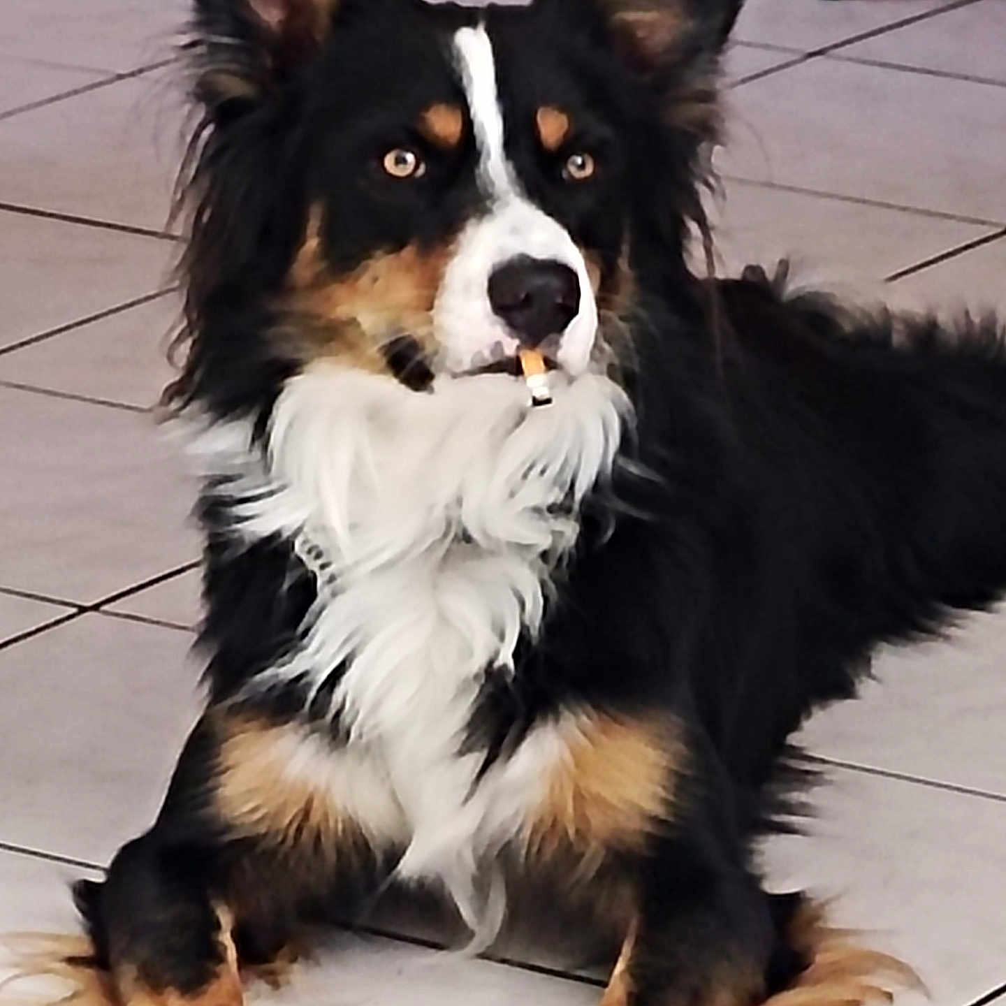 Tito