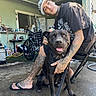 Sensi joined the competition — help win amazing prizes! black_dog, cap, casual_clothing, chair, concrete_floor, daylight, dog, flip_flops, happy, home, leisure, man, outdoor, pet, porch, resting, smiling_dog, tattooed_arms, tattoos, wheelchair