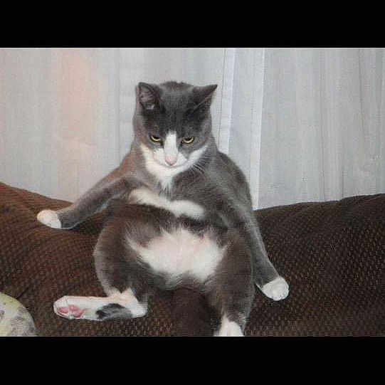 Charlie joined the competition — help win amazing prizes!