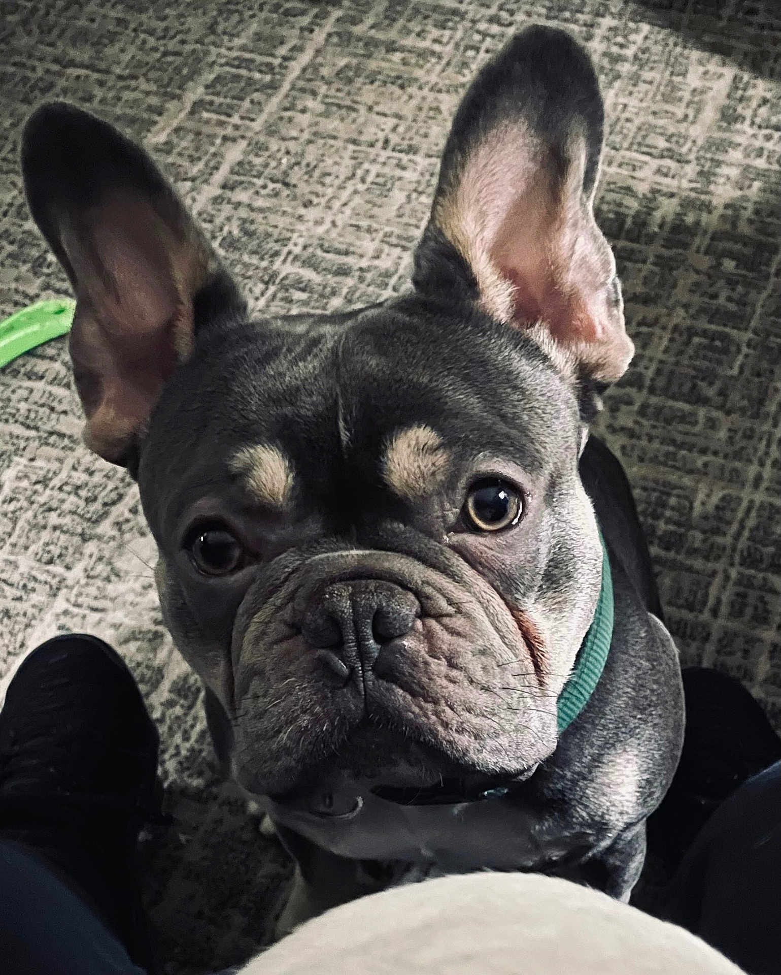 Archie Baby Jordan