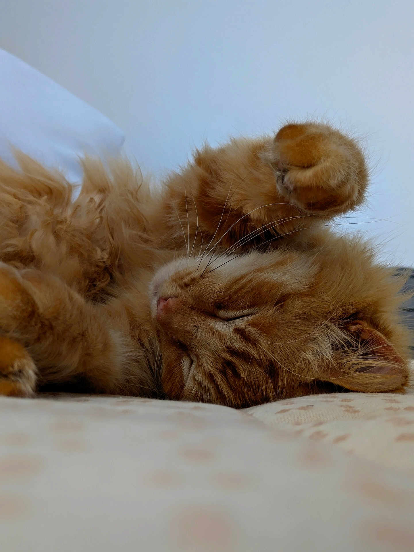 Max