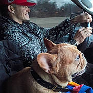 Hector joined the competition — help win amazing prizes! man, dog, french_bulldog, driver, passenger, car_interior, steering_wheel, red_hat, patterned_jacket, tattoo, wristwatch, dog_collar, leash, blanket, window, road, smile, seat, closeup, travel
