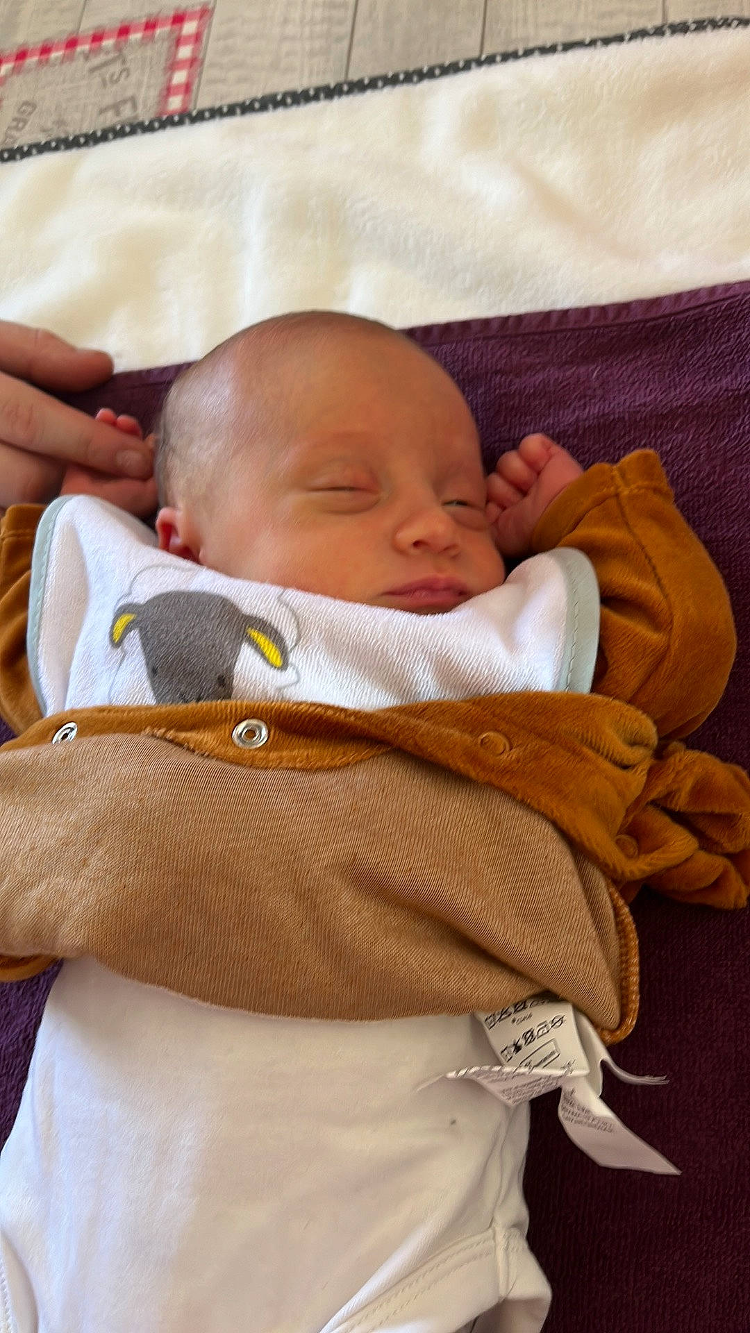 Thao a rejoint le concours — aidez-le/la à gagner de superbes lots ! baby, baby_products, baby_sleeping, baby_toddler_clothing, bedtime, cheek, child, chin, collar, comfort, linens, nap, nose, person, room, sitting, skin, sleep, sleeve, textile