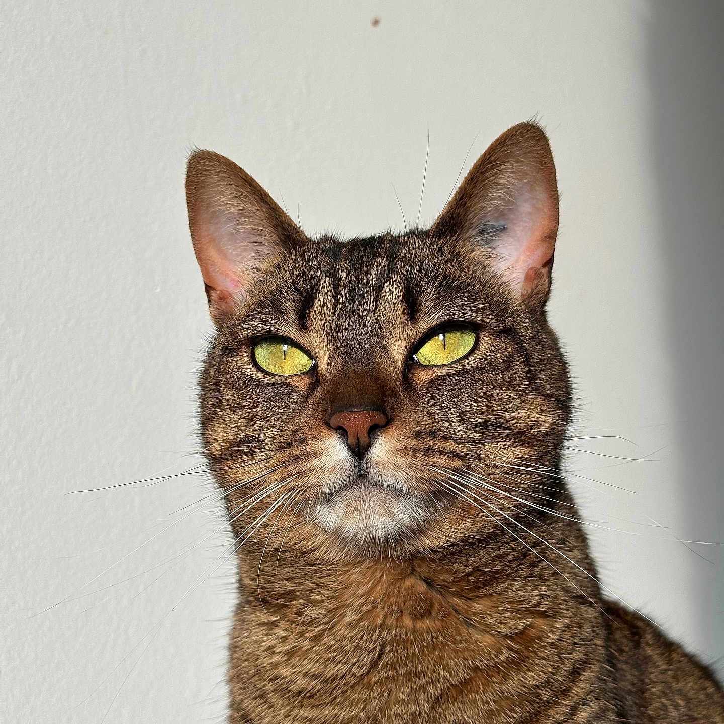 Zira