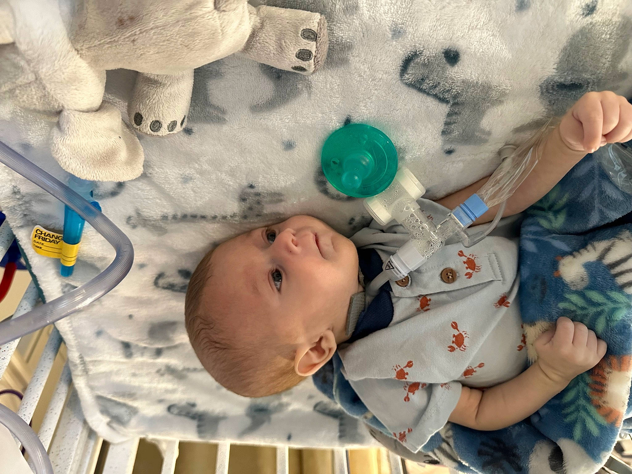 Jesús is registered to the contest to win money with this photo: baby, baby_products, baby_safety, baby_toddler_clothing, baby_toys, beauty, child, comfort, fun, happy, linens, pattern, people, person, photograph, plastic, room, skin, textile, toddler