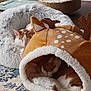 cat, sleeping, pet_bed, plush, cozy, indoor, floor, fur, orange_and_white_cat, reindeer_bed, round_bed, rug, wood_floor, relaxing, animal, cute, domestic_cat, resting, feline, home