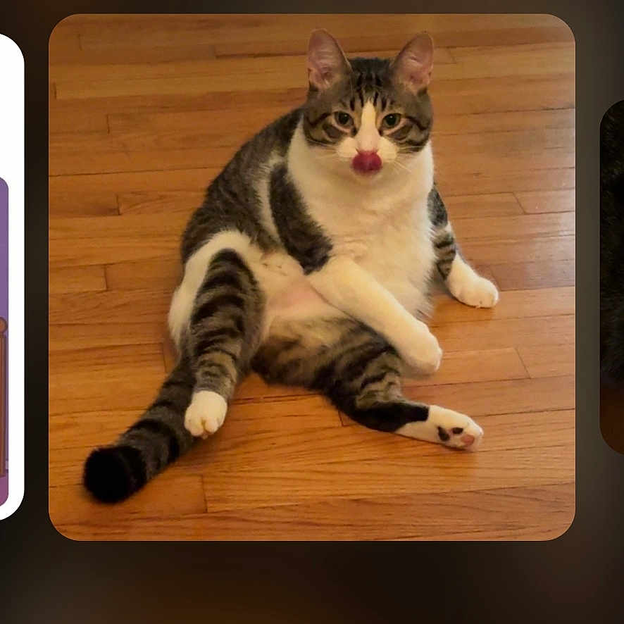 Milo