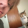 Zoomie is registered to the contest to win money with this photo: animal, bed, casual, cat, curious, door, doorknob, expression, face, feline, hair, human, indoor, light, person, pet, portrait, room, side_view, wall