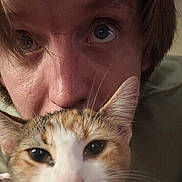 Zoomie joined the competition — help win amazing prizes! animal, cat, close_up, cozy, expression, eyes, face, fur, hair, head, indoor, intimate, looking_at_camera, nose, person, pet, portrait, selfie, skin, whiskers