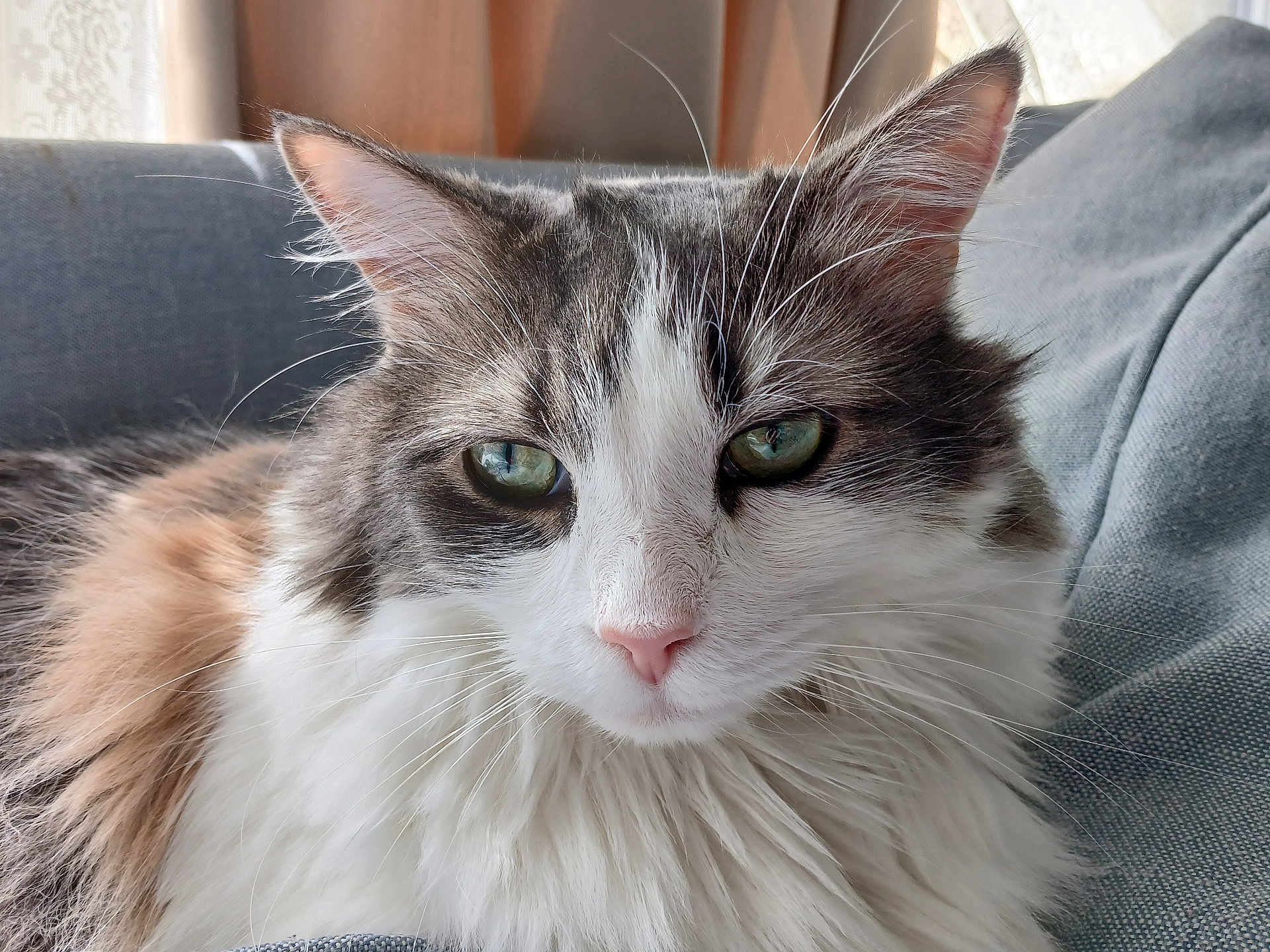 Zoey