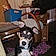Bandit