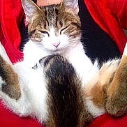 Krakotte participe au concours pour gagner de l'argent avec cette photo :