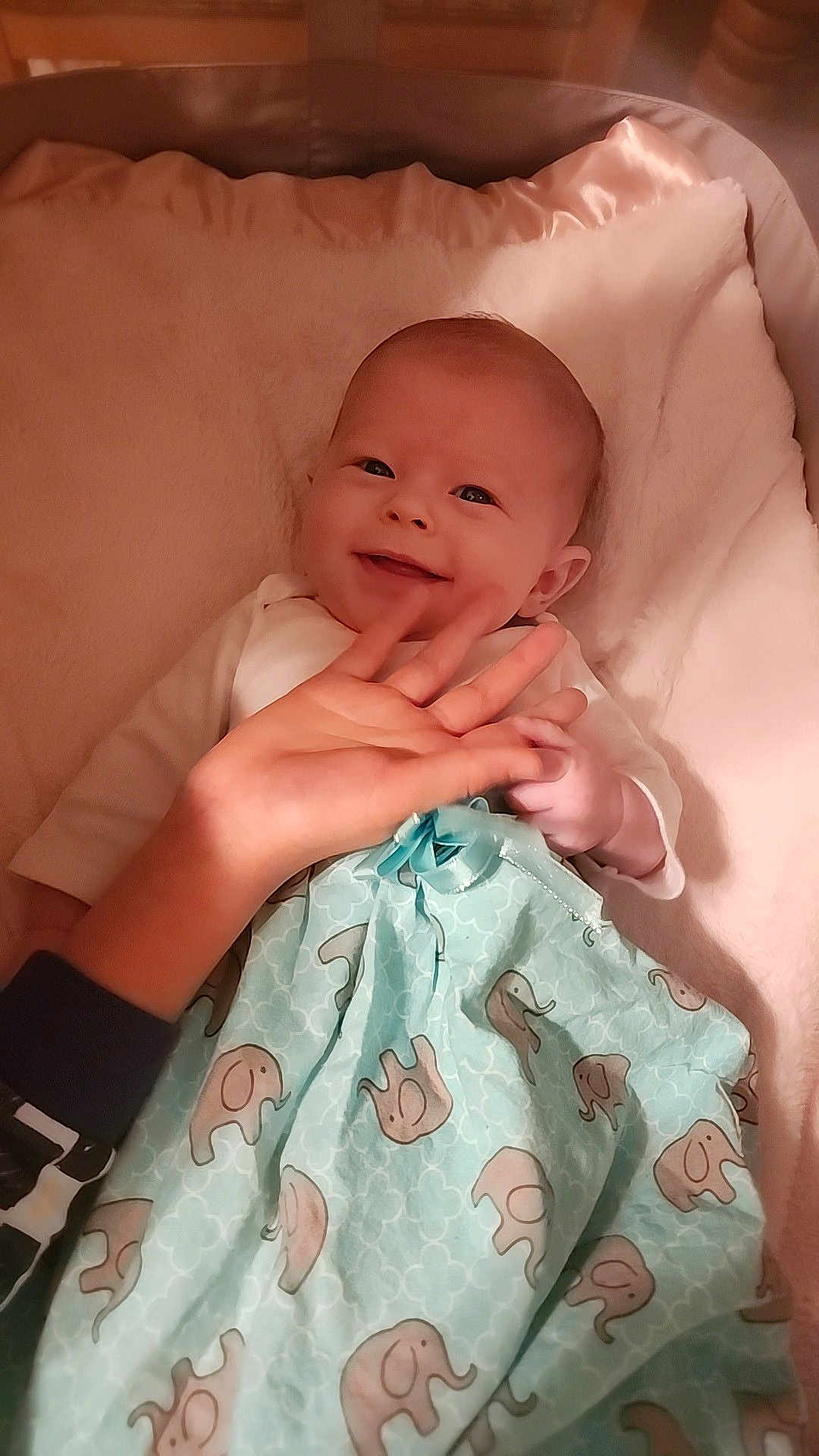 Rory is registered to the contest to win money with this photo: baby, infant, smile, smiling, face, eyes, hand, adult_hand, blanket, elephant_print, swaddle, bedding, crib, bassinet, clothing, portrait, cute, adorable, cozy, indoor