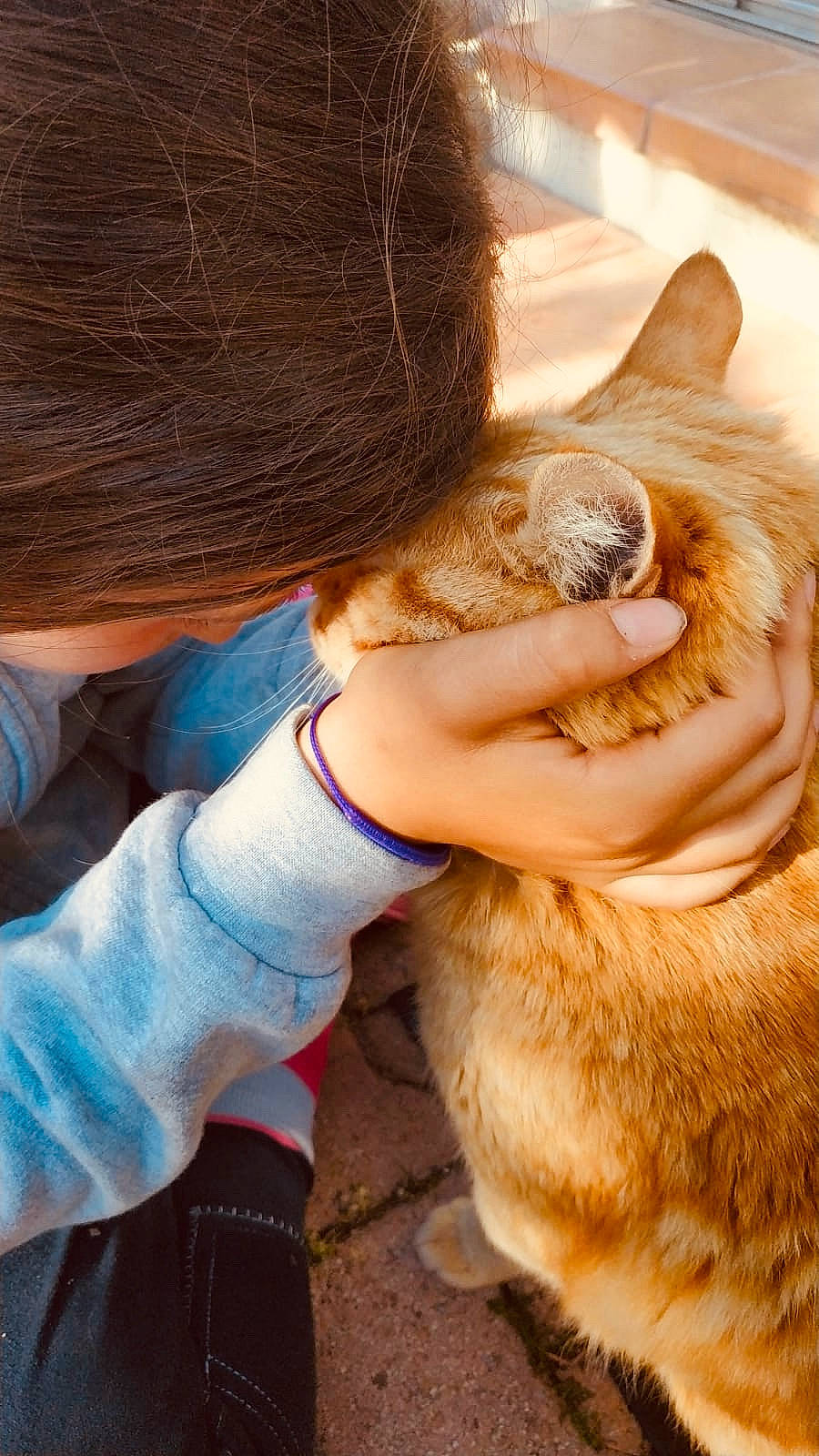 Fripouille participe au concours pour gagner de l'argent avec cette photo : canidae, carnivore, cat, child, companion_dog, dog_breed, ear, fawn, felidae, friendship, fur, gesture, happy, nose, small_to_medium_sized_cats, snout, sporting_group, tail, toddler, whiskers