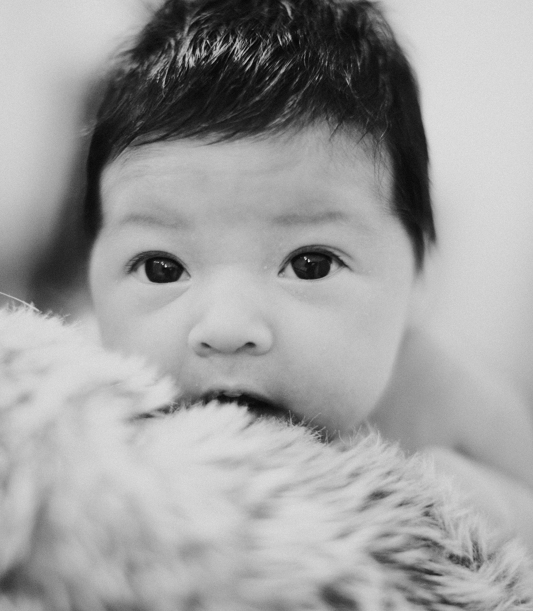 Ema joined the competition — help win amazing prizes! baby, beauty, black, black_and_white, cheek, child, chin, eye, eyebrow, face, fur, head, lip, monochrome, monochrome_photography, nose, person, photograph, skin, toddler