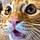 Miu-Miu