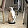 Ramses