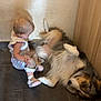 toddler, child, dog, floor, tile, animal, pet, fur, curious, sitting, indoor, wood, wall, baby, small, cute, companion, resting, calm, playful