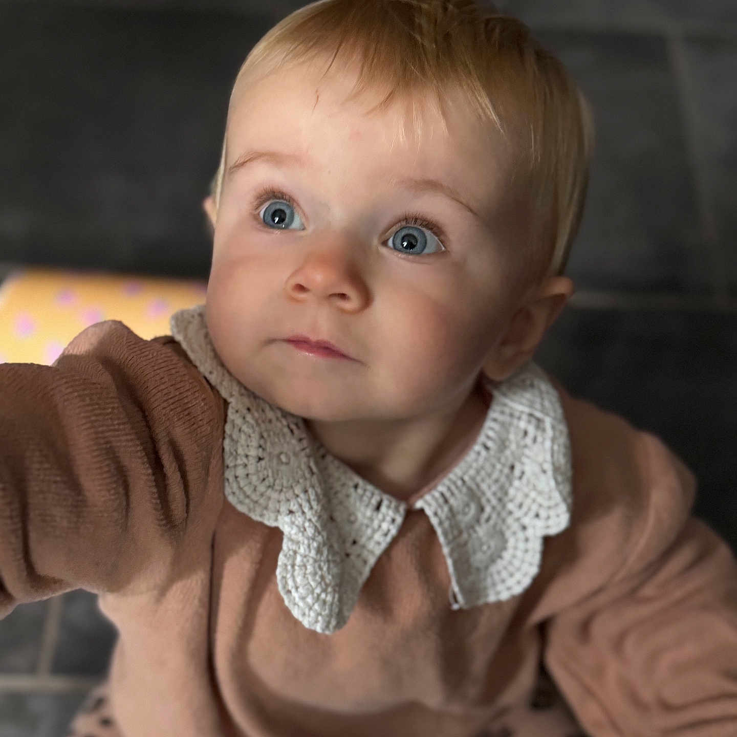 Lucy a rejoint le concours — aidez-le/la à gagner de superbes lots ! baby, blue_eyes, casual, child, clothing, crocheted_collar, curious, cute, floor, indoor, leopard_print, looking_up, pants, person, portrait, seated, sweater, tile, toddler, young_child