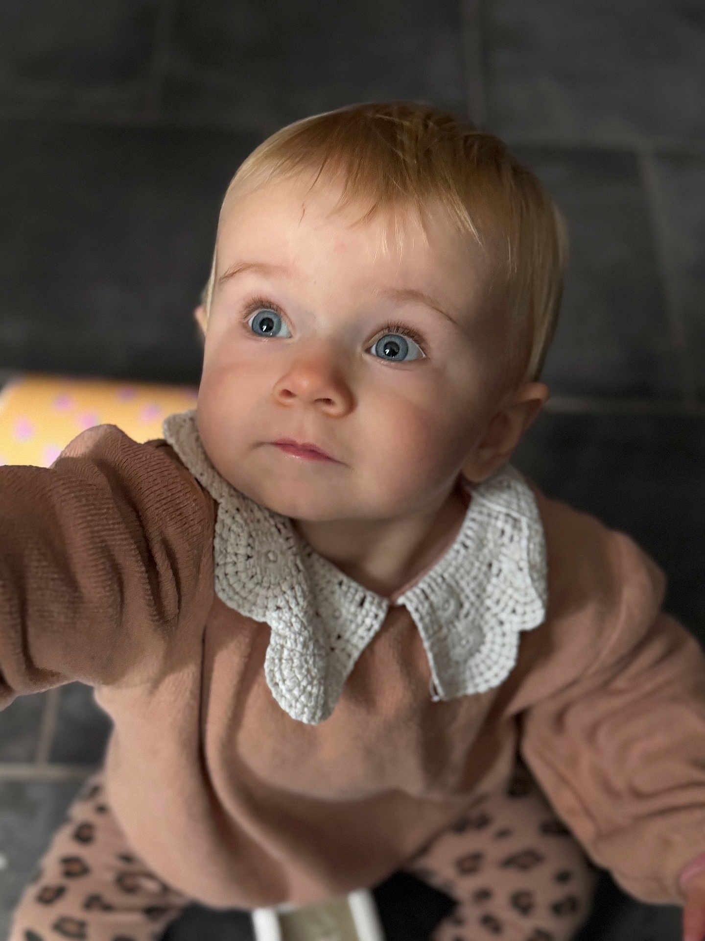 Lucy a rejoint le concours — aidez-le/la à gagner de superbes lots ! toddler, child, blue_eyes, sweater, crocheted_collar, leopard_print, pants, floor, tile, indoor, curious, looking_up, portrait, baby, person, clothing, young_child, cute, casual, seated