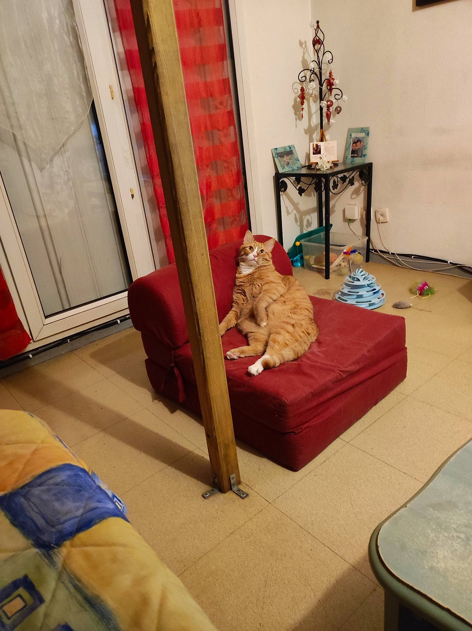 Raymond participe au concours pour gagner de l'argent avec cette photo : building, comfort, couch, curtain, felidae, floor, flooring, furniture, hardwood, house, interior_design, living_room, picture_frame, property, studio_couch, table, textile, tints_and_shades, toy, wood