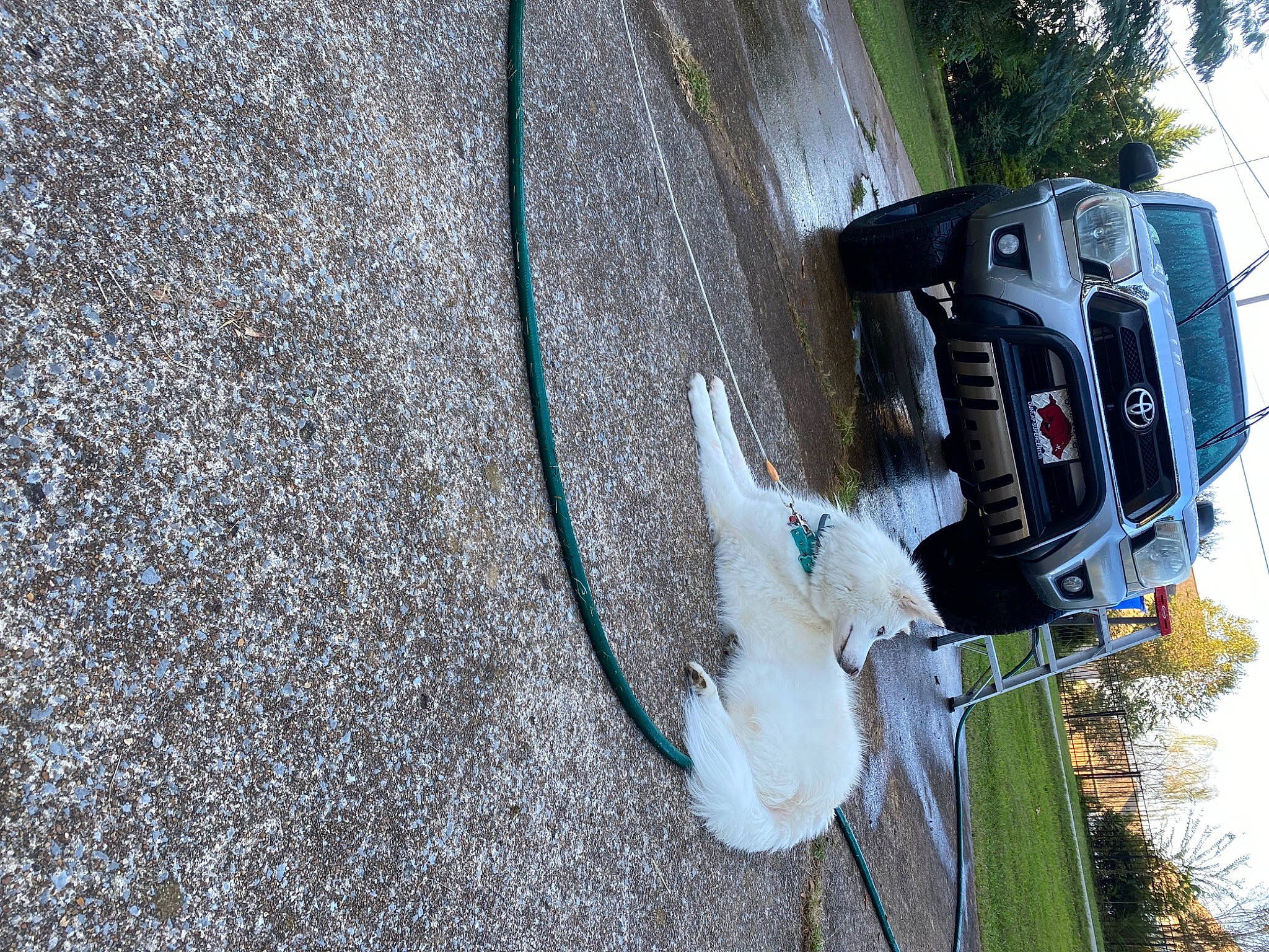 Aria joined the competition — help win amazing prizes! asphalt, auto_part, automotive_exterior, automotive_lighting, automotive_tire, automotive_wheel_system, car, electrical_wiring, plant, road, road_surface, sidewalk, sky, tar, tire, tree, trunk, vehicle, vehicle_door, wheel