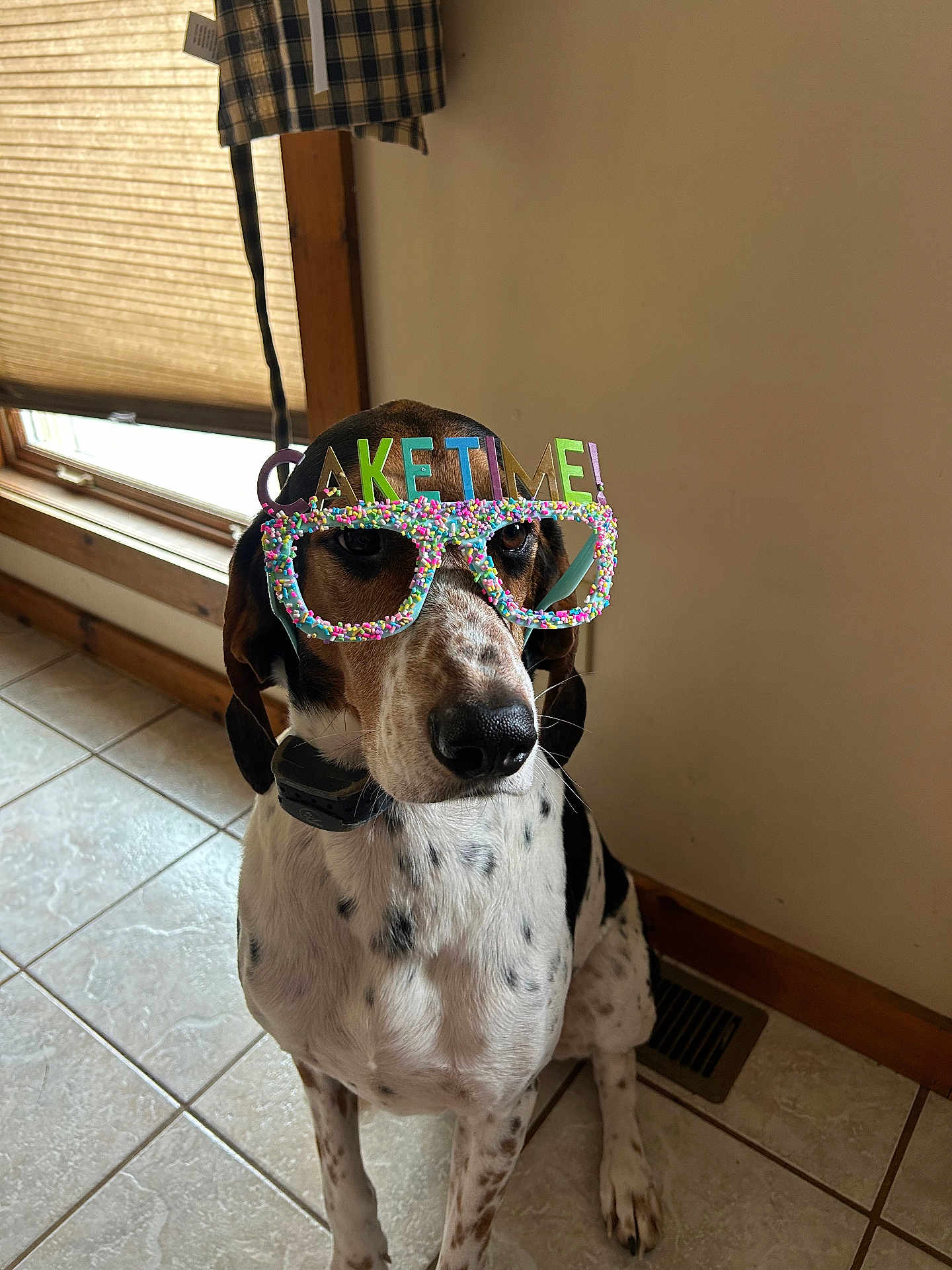 Hank