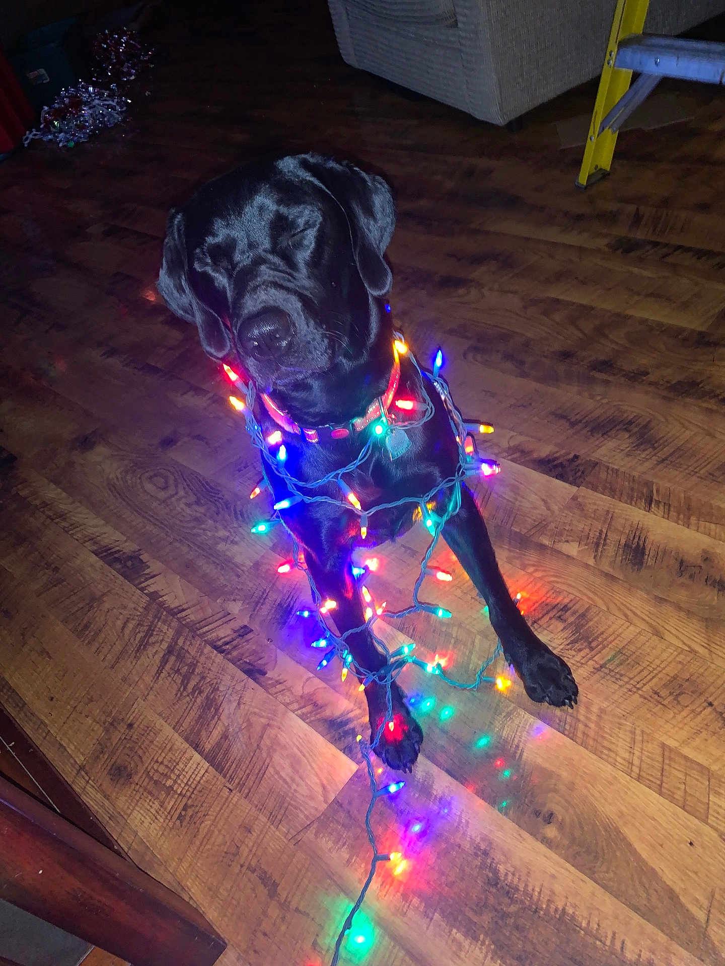 Tucker
