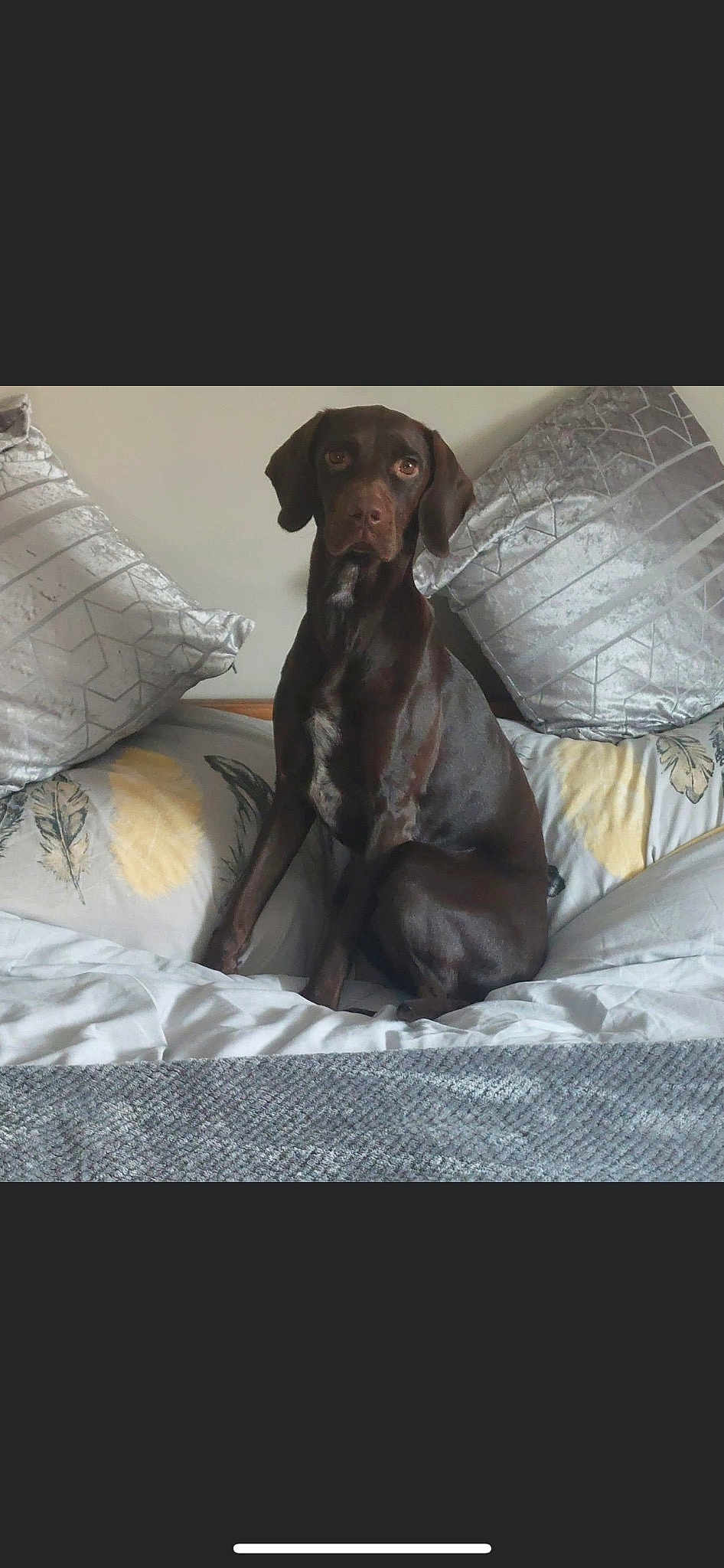 Lola