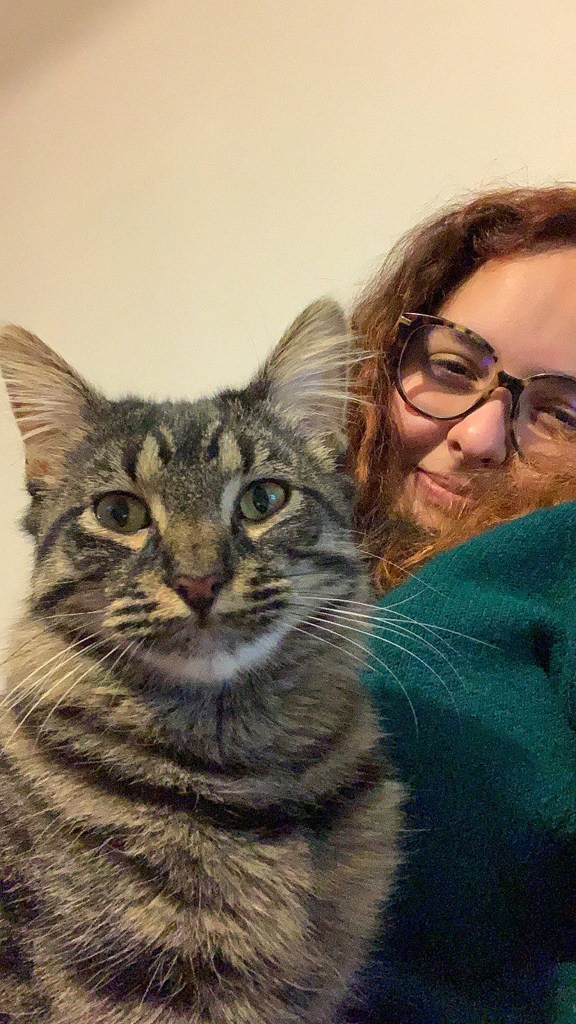 Haku a rejoint le concours — aidez-le/la à gagner de superbes lots ! carnivore, cat, domestic_short_haired_cat, eyewear, felidae, fur, gesture, glasses, happy, iris, selfie, small_to_medium_sized_cats, snout, terrestrial_animal, vision_care, whiskers, wildlife