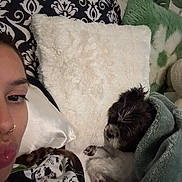 Loca is registered to the contest to win money with this photo: person, dog, blanket, pillow, bed, resting, sleeping, indoor, cozy, cute, black_and_white_dog, face, human, fur, patterned_clothing, green_blanket, decor, wallpaper, nose_ring, braid