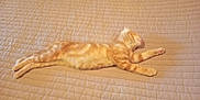 Ava a rejoint le concours — aidez-le/la à gagner de superbes lots ! cat, kitten, orange_tabby, sleeping, stretched_out, bed, blanket, quilted, feline, pet, domestic_animal, cute, resting, cozy, indoor, animal, fur, whiskers, paws, relaxed